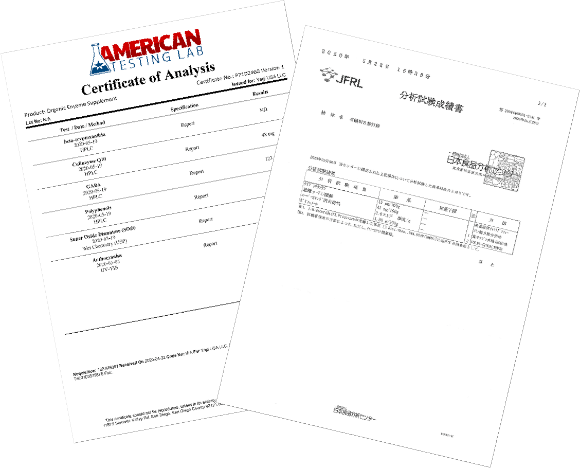 アメリカ・日本での栄養分析結果の結果