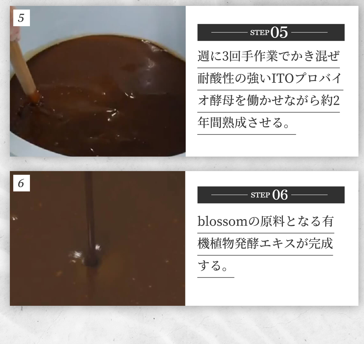 STEP05:週に3回手作業でかき混ぜ耐酸性の強いITOプロバイオ酵母を働かせながら約2年間熟成させる。
                STEP06:blossomの原料となる有機植物発酵エキスが完成する。
